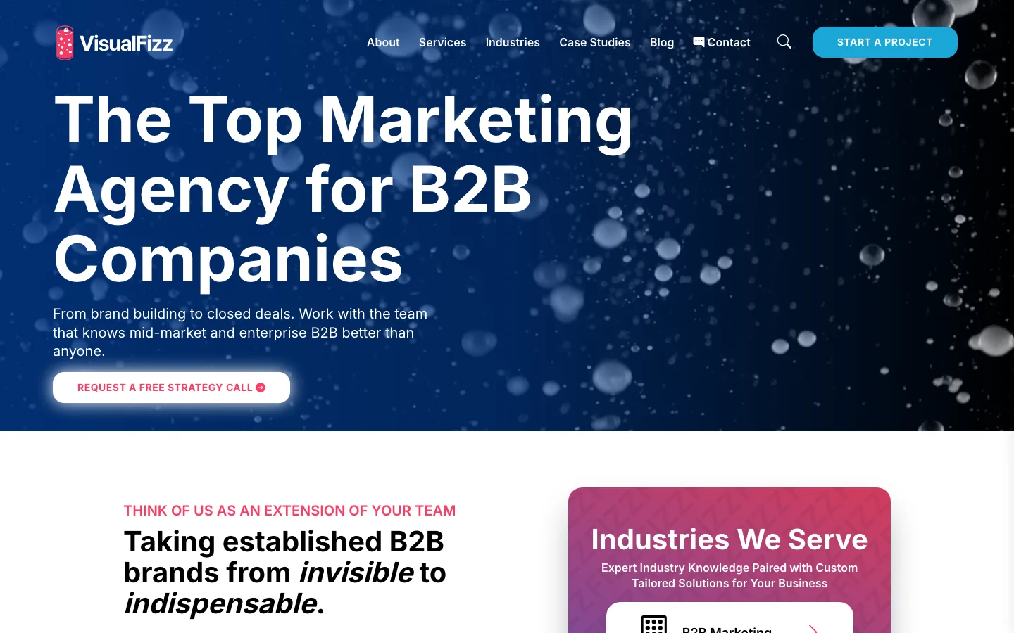 VisualFizz homepage